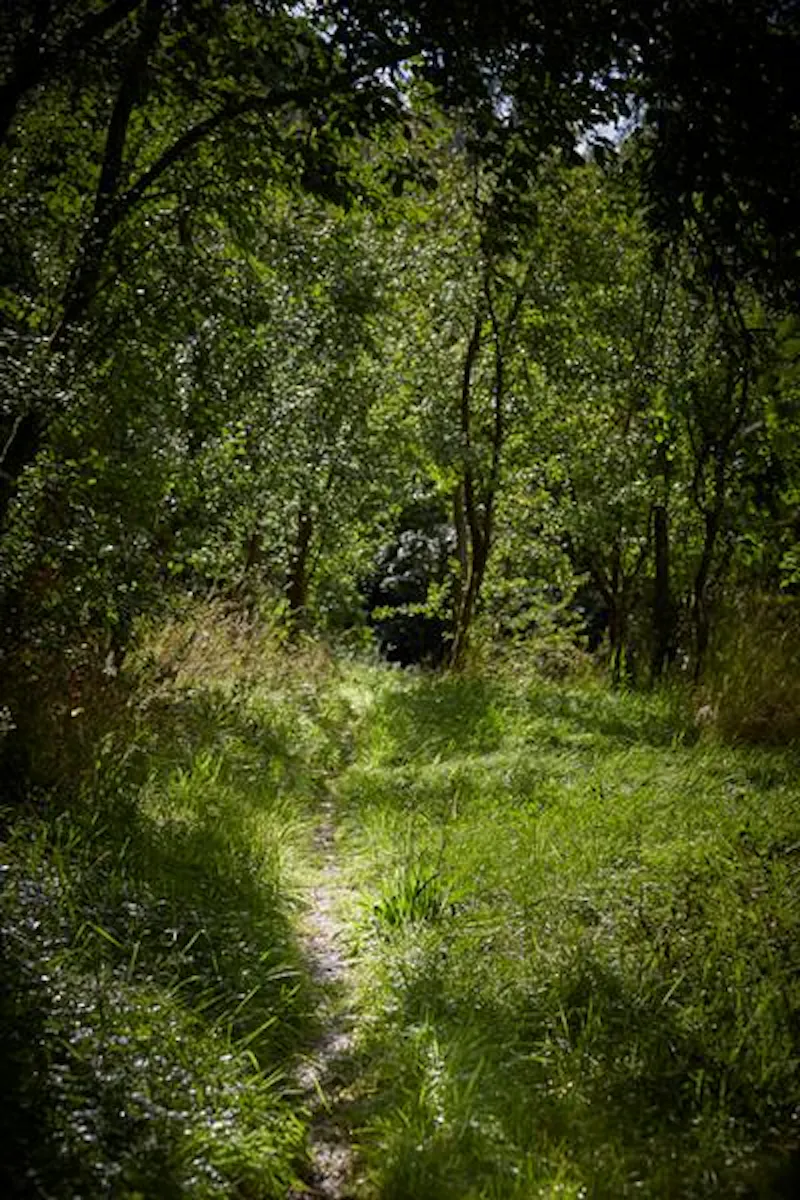 Film location C878 in Worcestershire (photo 17)
