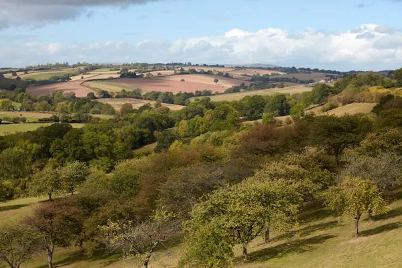 Views - country at Film location C878 in Worcestershire (photo 24)