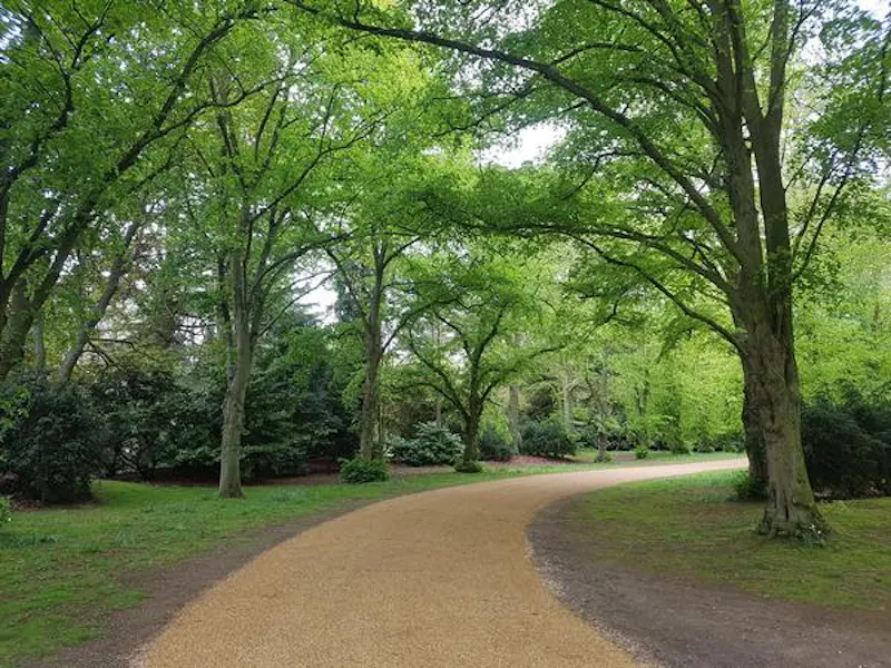 Driveway at Gothic Cambridge manor house, M307 (photo 26)