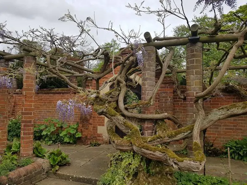 Gothic Cambridge manor house, M307 (photo 28)