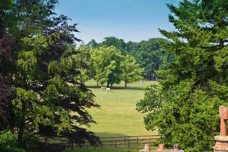 Countryside at Gothic Cambridge manor house, M307 (photo 42)