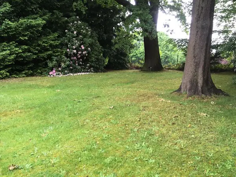 Garden at Large Hampstead Heath house, A1437 (photo 11)