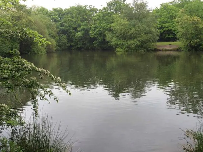 Lake at Cricket club with lake in Stanmore, V156 (photo 42)