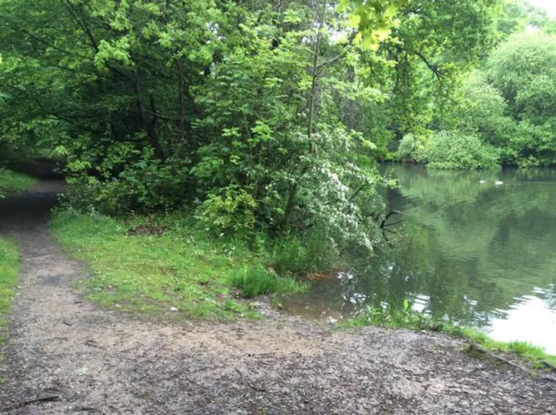 Cricket club with lake in Stanmore, V156 (photo 43)