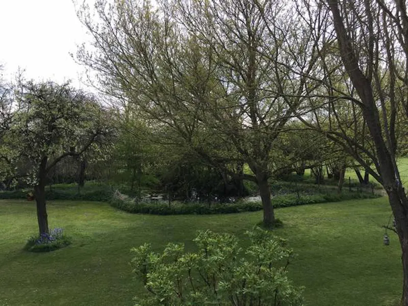 Woodland at Film location C881 in Buckinghamshire (photo 30)