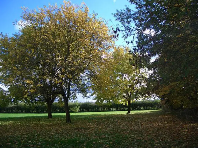 Film location C881 in Buckinghamshire (photo 33)