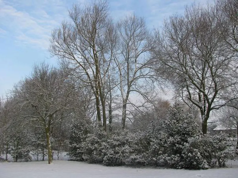 Film location C881 in Buckinghamshire (photo 34)
