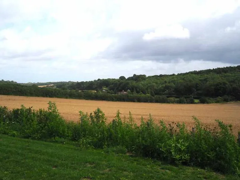 Countryside at Simple, sparse Faversham barn, C883 (photo 25)