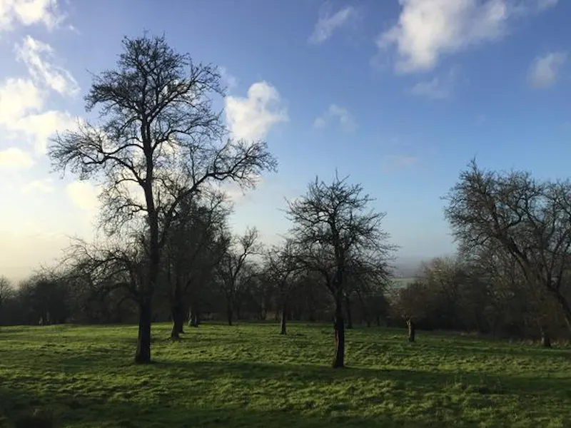 Film location E439 in Gloucestershire (photo 47)
