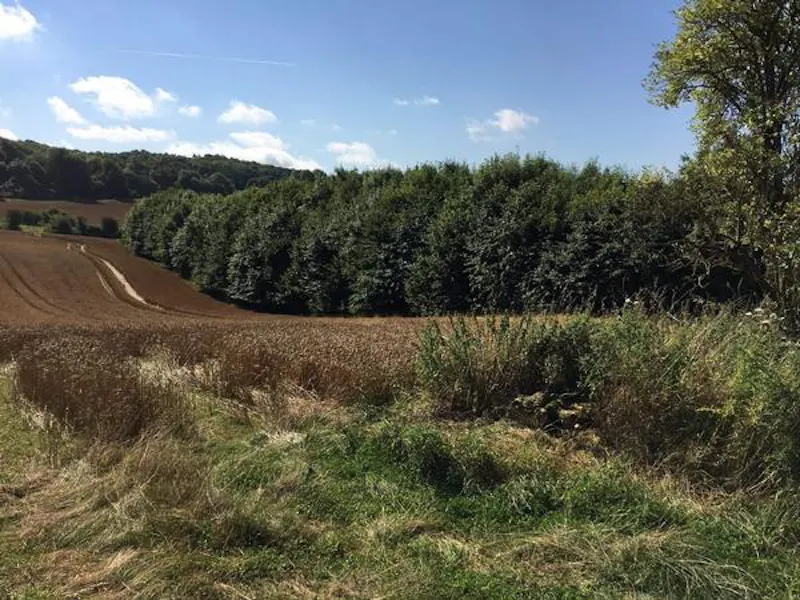 Film location E439 in Gloucestershire (photo 55)