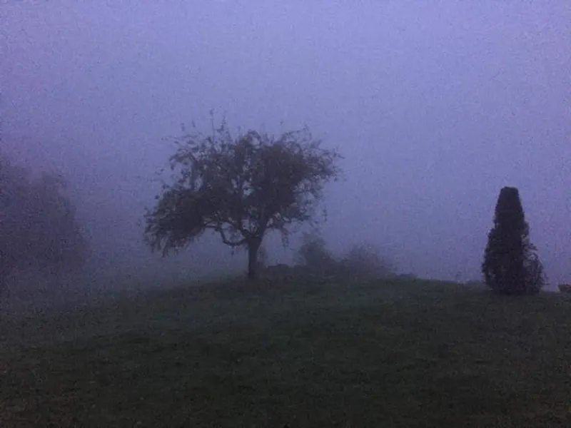 Film location E439 in Gloucestershire (photo 65)