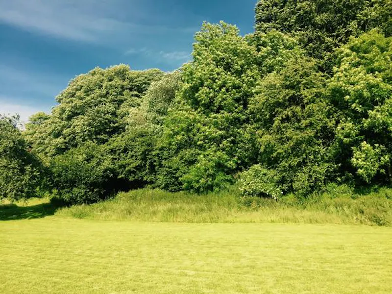 Film location E439 in Gloucestershire (photo 81)