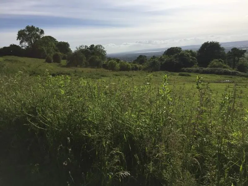 Film location E439 in Gloucestershire (photo 83)