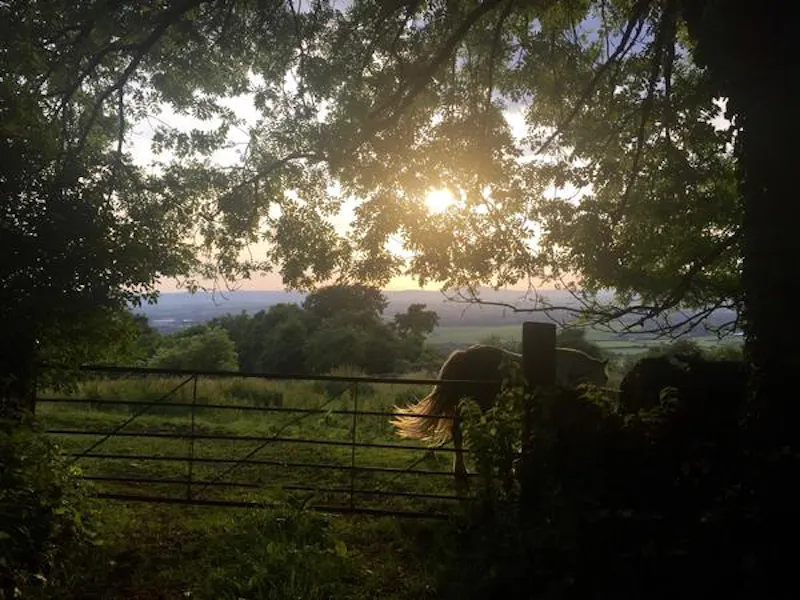 Film location E439 in Gloucestershire (photo 84)