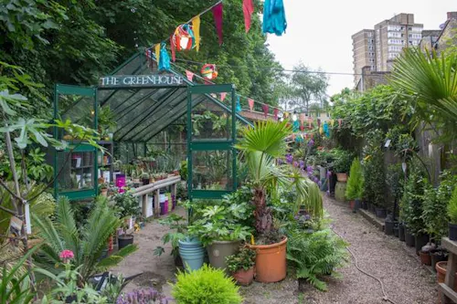 Garden centre in Battersea, Q122