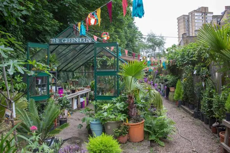 Garden centre in Battersea, Q122 (photo 2)