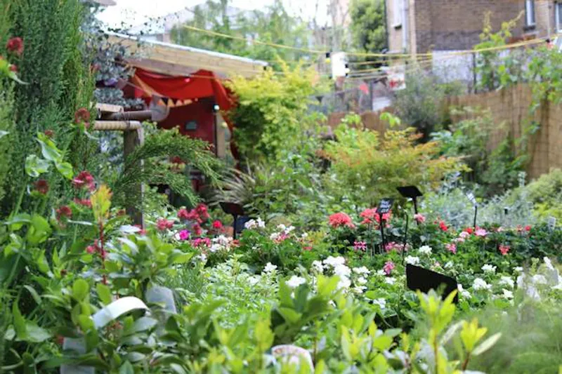Garden centre in Battersea, Q122 (photo 3)
