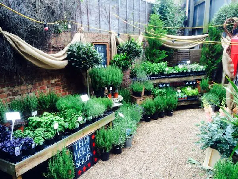 Garden centre in Battersea, Q122 (photo 4)