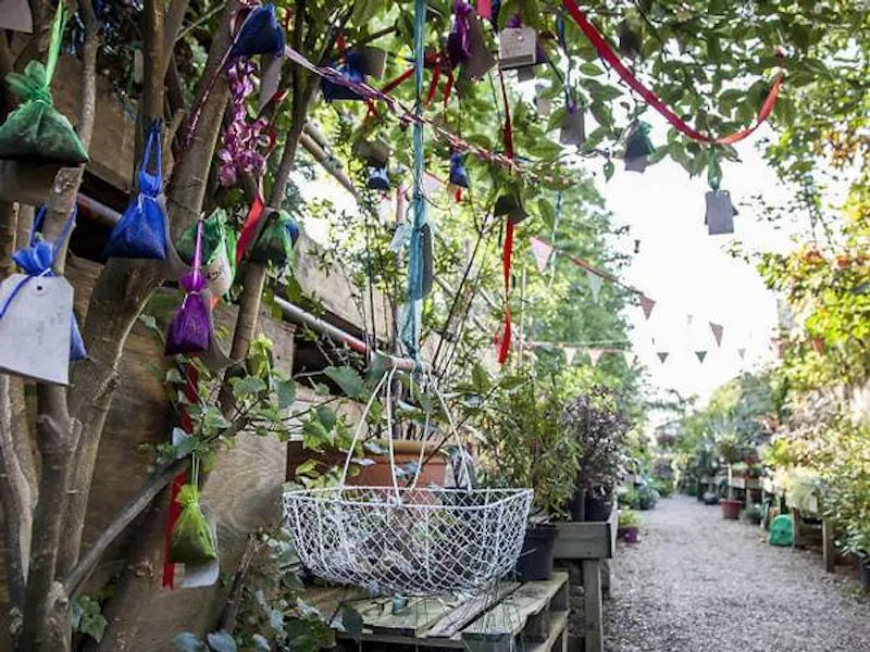 Garden centre in Battersea, Q122 (photo 5)