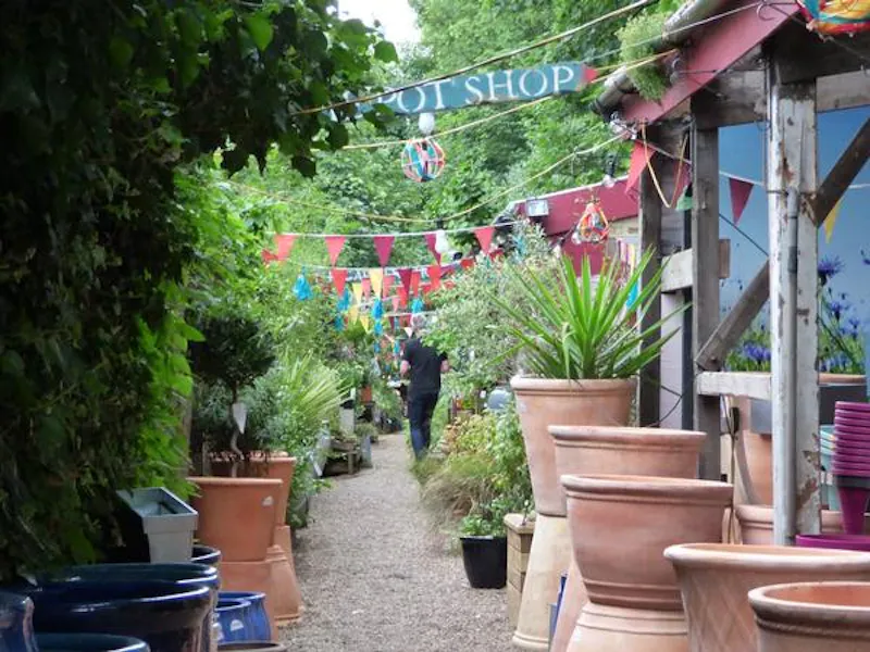 Garden centre in Battersea, Q122 (photo 6)