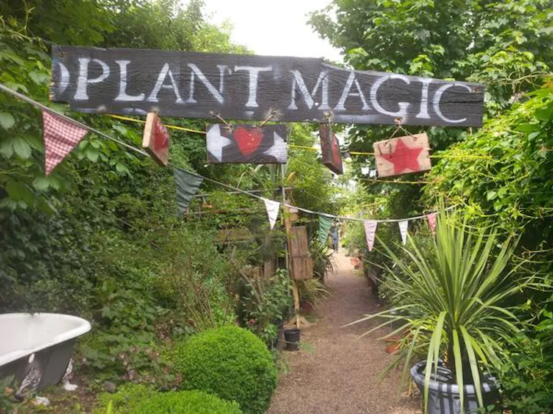 Garden centre in Battersea, Q122 (photo 7)