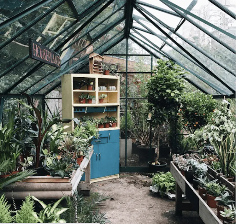 Garden centre in Battersea, Q122 (photo 9)