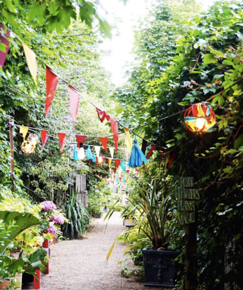 Garden centre in Battersea, Q122 (photo 11)