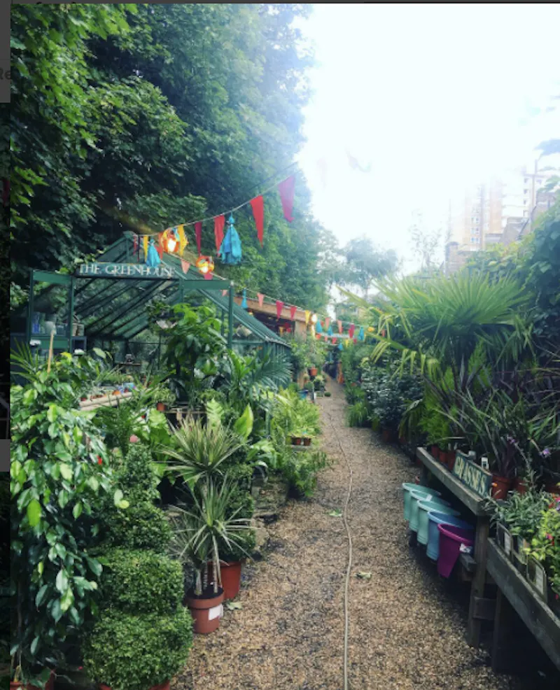 Garden centre in Battersea, Q122 (photo 12)