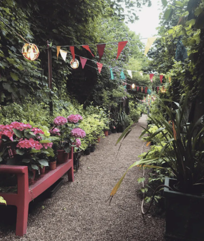 Garden centre in Battersea, Q122 (photo 13)