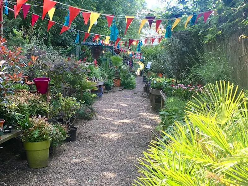 Garden centre in Battersea, Q122 (photo 15)