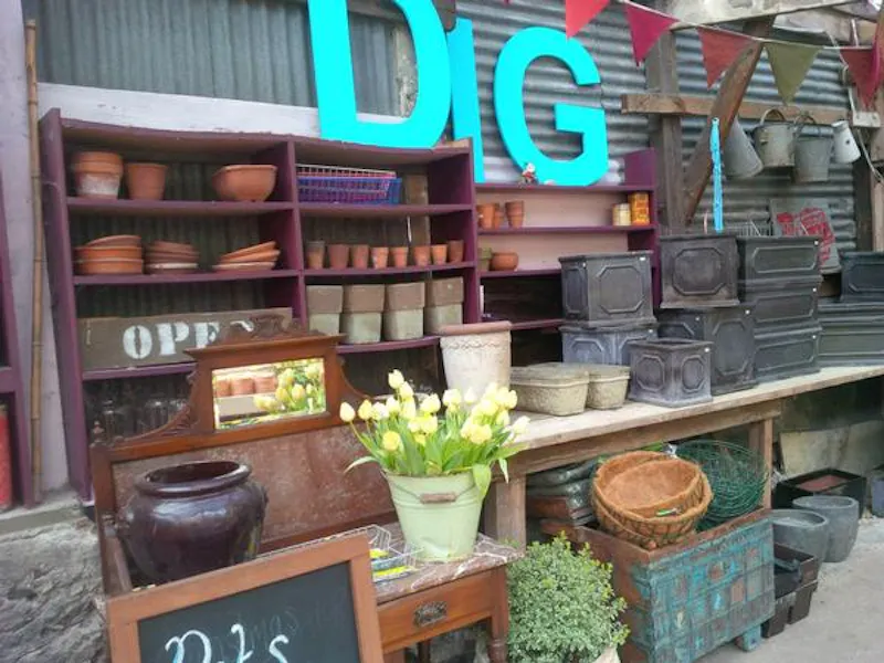 Garden centre in Battersea, Q122 (photo 16)