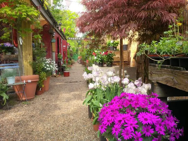 Garden centre in Battersea, Q122 (photo 17)