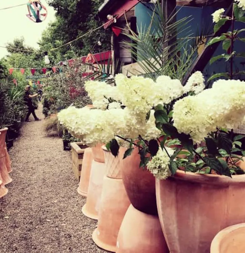 Garden centre in Battersea, Q122 (photo 18)