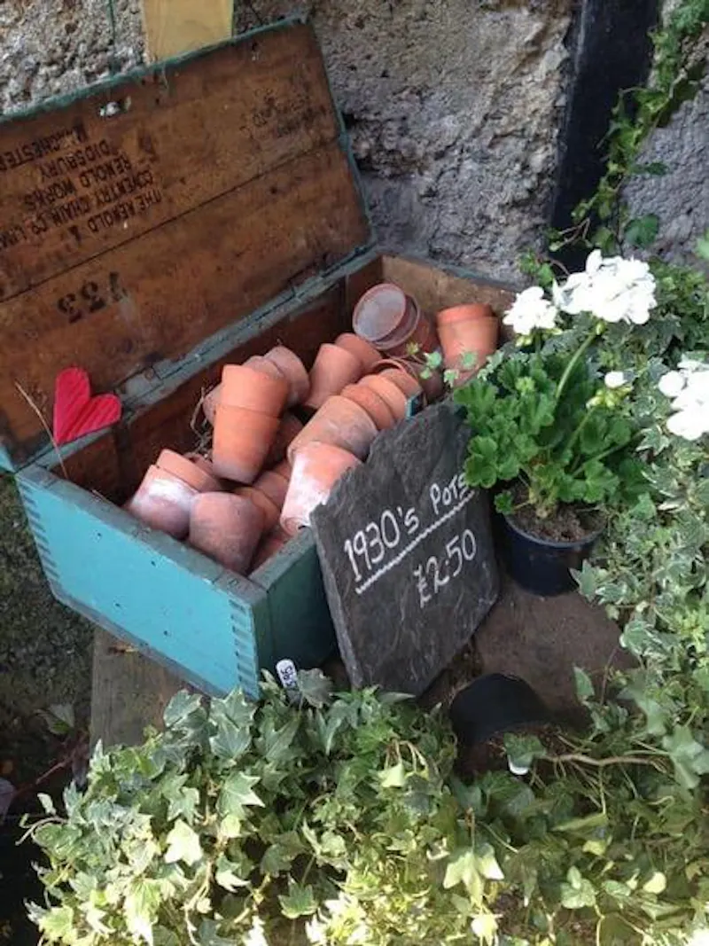 Garden centre in Battersea, Q122 (photo 19)