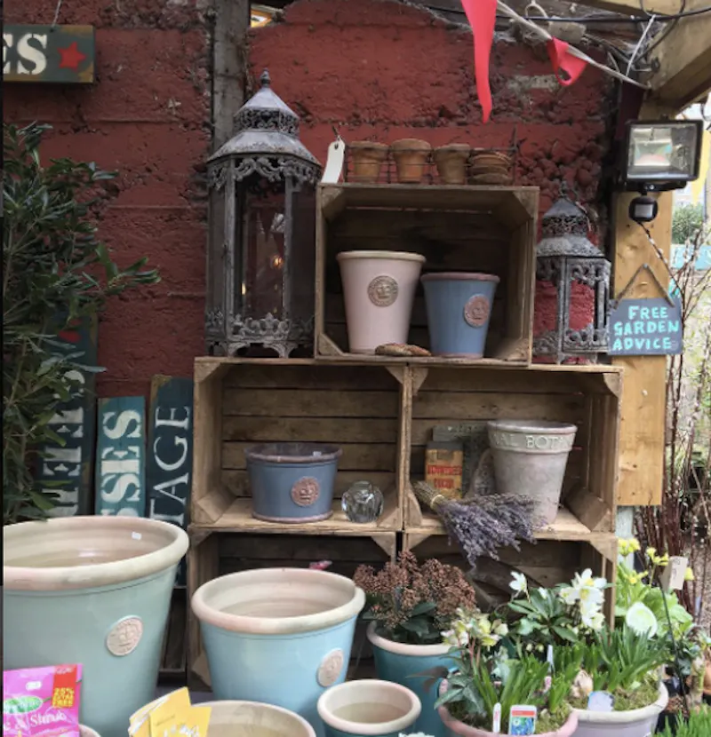 Garden centre in Battersea, Q122 (photo 20)