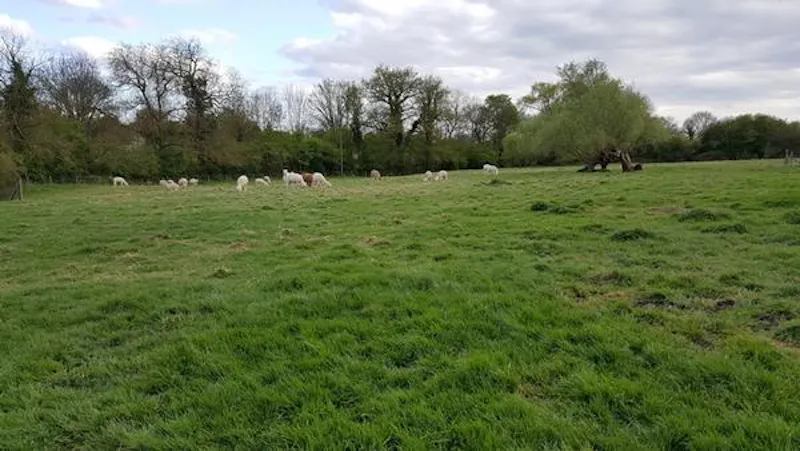 Film location L669 in Cambridgeshire (photo 14)