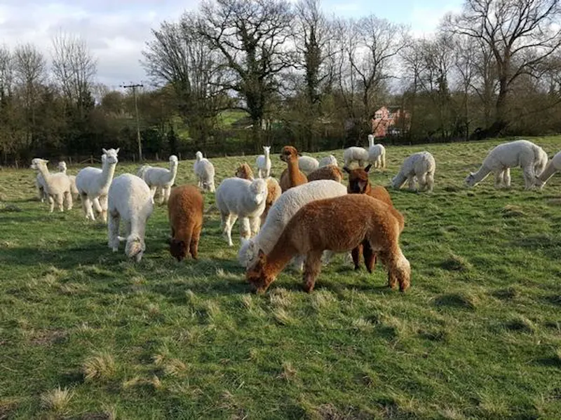 Film location L669 in Cambridgeshire (photo 15)