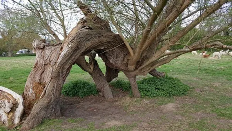 Film location L669 in Cambridgeshire (photo 17)