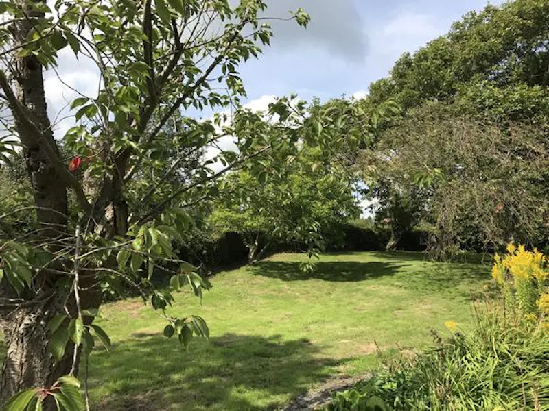Film location C888 in East Sussex (photo 106)