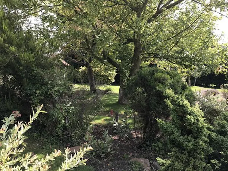 Film location C888 in East Sussex (photo 109)