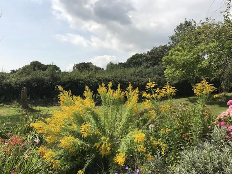 Film location C888 in East Sussex (photo 110)