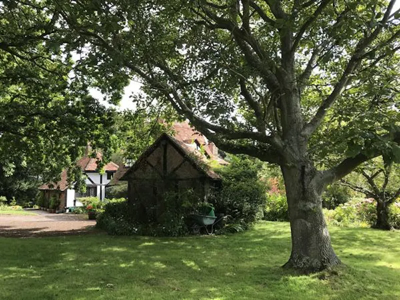Film location C888 in East Sussex (photo 133)