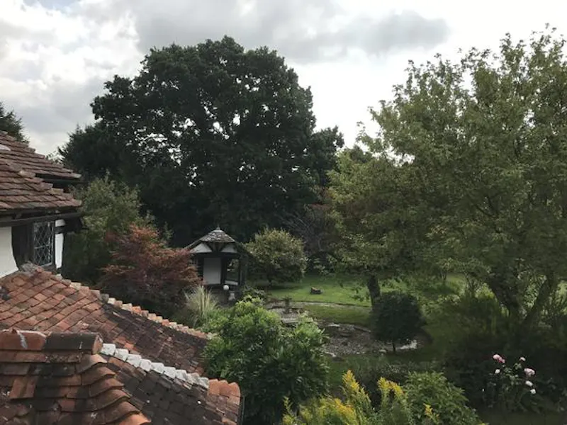 Film location C888 in East Sussex (photo 156)