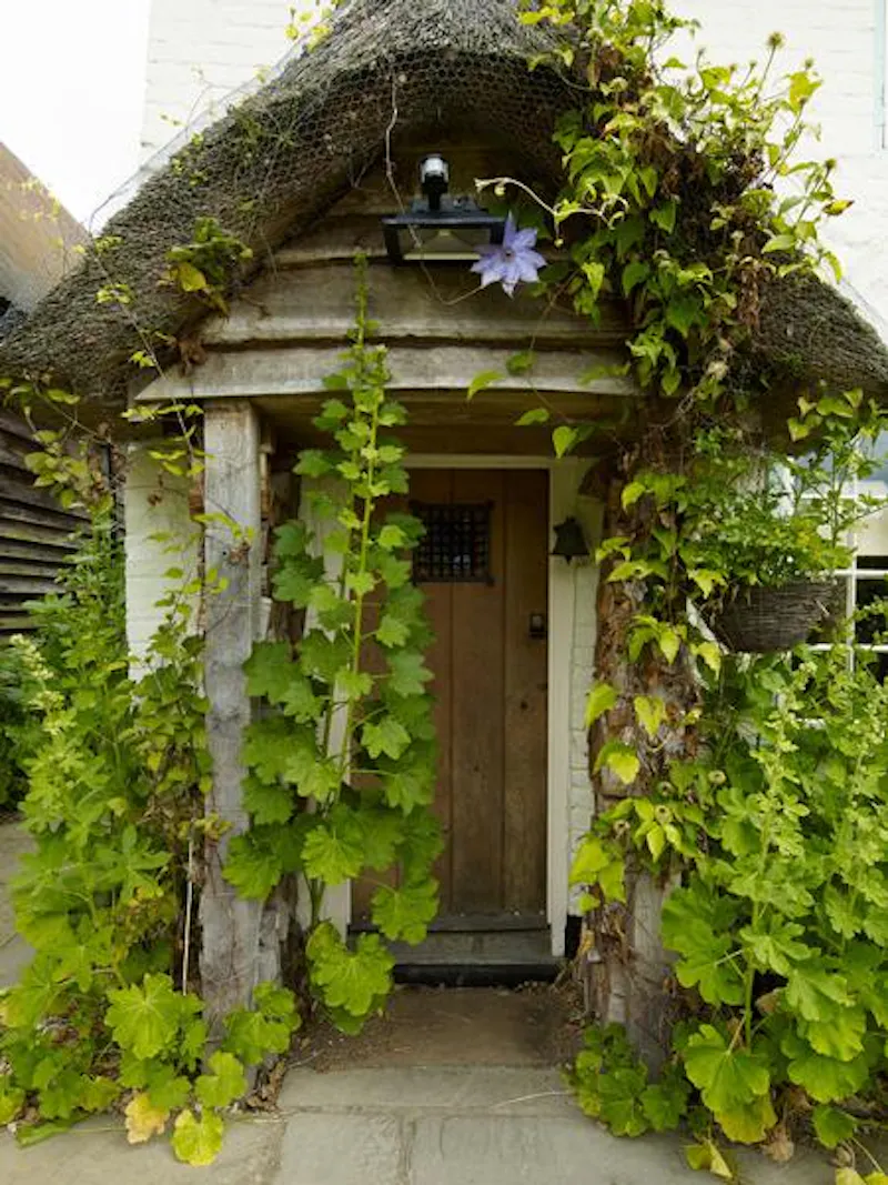 Thame thatched cottage, C889 (photo 11)
