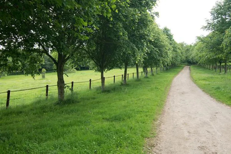 Driveway at Cotswold country manor, M309 (photo 30)