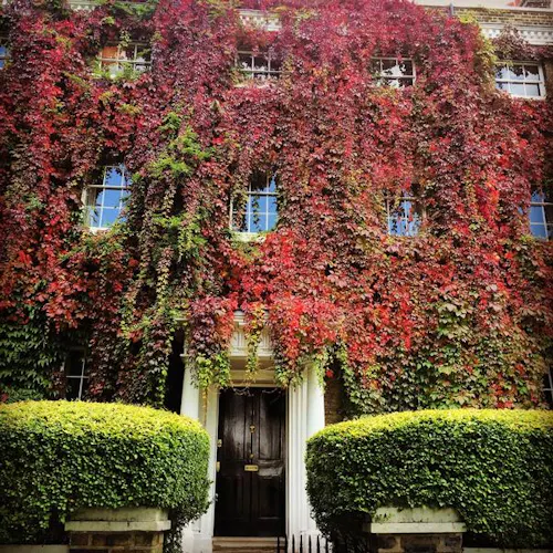 Stylish Ham Common house, F1151