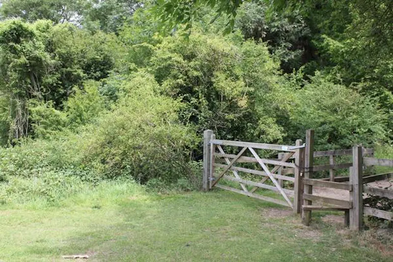 Gate at Apartment in Bayford mansion, A1443 (photo 33)