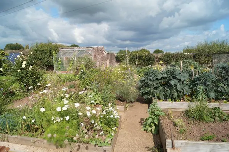 Greenhouse at Faded Devon country house, A1446 (photo 43)