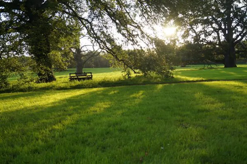 Garden at Faded Devon country house, A1446 (photo 47)