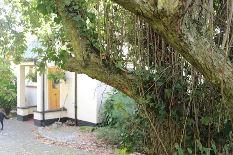 Cookham home with woodland , E445 (photo 32)